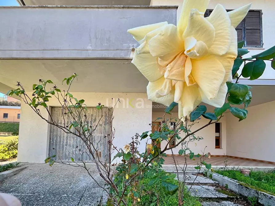 Immagine 3 di Appartamento in vendita  in Via Giuseppe Uncini snc a Jesi