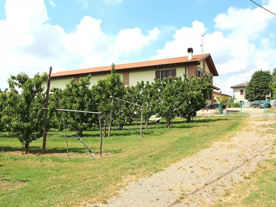 Immagine 5 di Terreno agricolo in vendita  in Via San Francesco a Valsamoggia