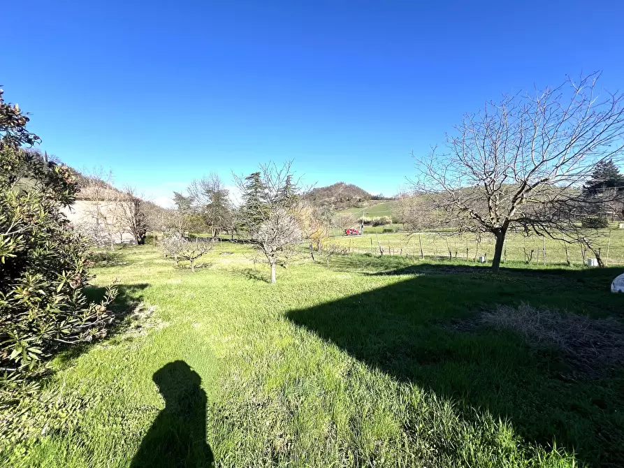 Immagine 6 di Terreno agricolo in vendita  in Via Tiola a Valsamoggia