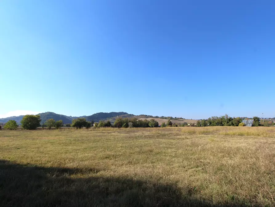 Immagine 10 di Terreno industriale in vendita  in Via Cassola a Valsamoggia