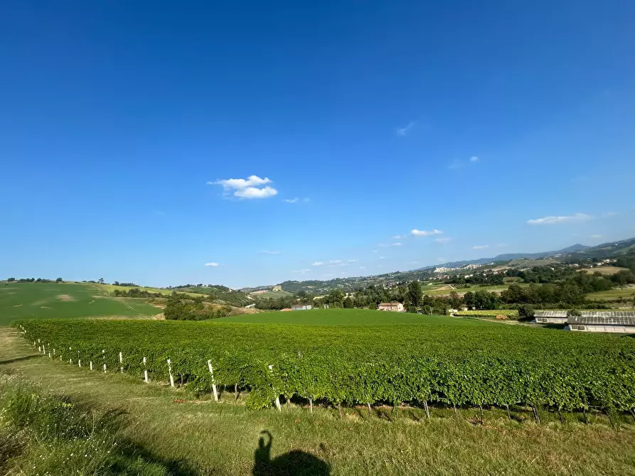 Immagine 4 di Porzione di casa in vendita  in Via Barlete a Valsamoggia