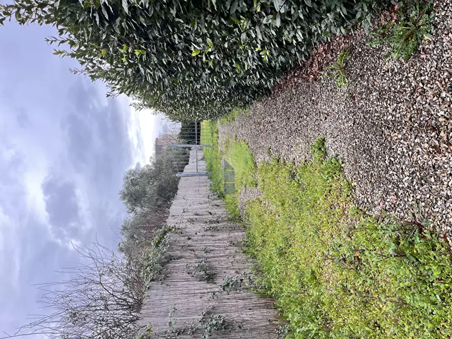 Immagine 6 di Terreno agricolo in vendita  in Via della Padula 12 a Livorno