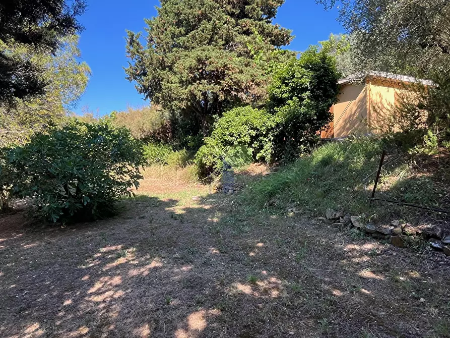Immagine 11 di Terreno agricolo in vendita  in Via delle More 8 a Livorno