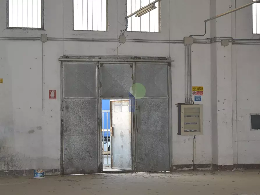 Immagine 11 di Capannone industriale in affitto  in Via Aurelia 76 a Collesalvetti