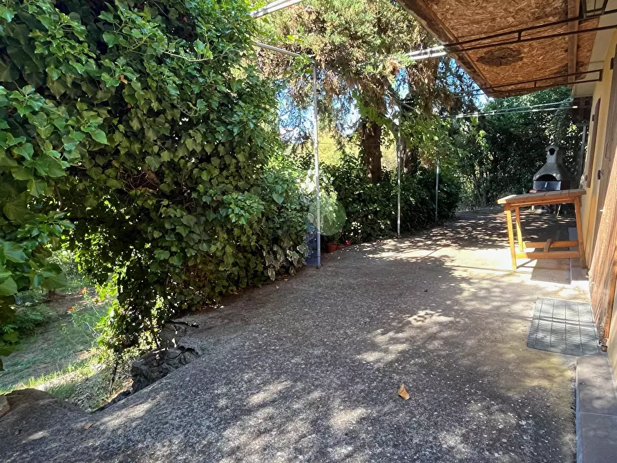 Immagine 10 di Terreno agricolo in vendita  in Via delle More 8 a Livorno