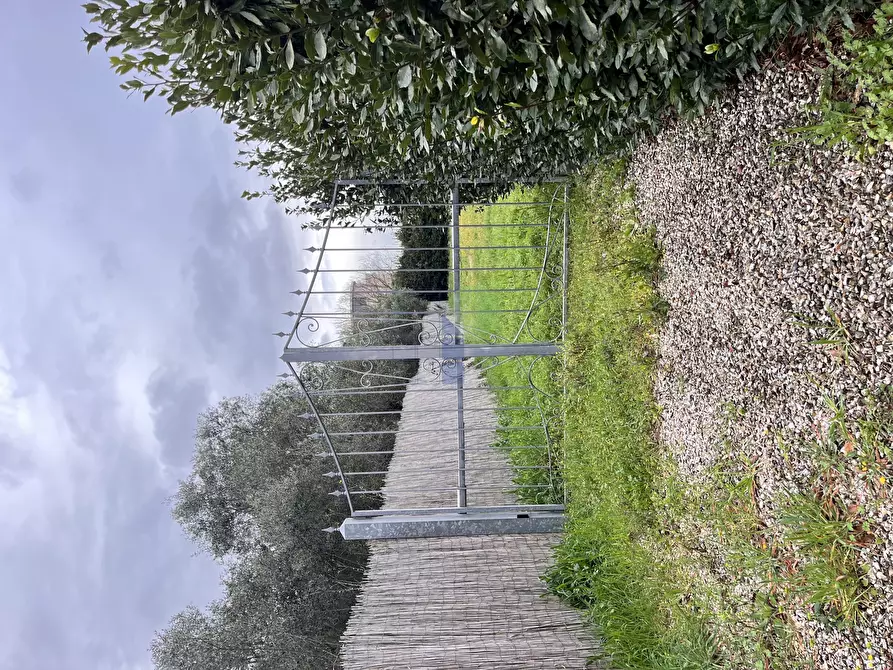 Immagine 5 di Terreno agricolo in vendita  in Via della Padula 12 a Livorno