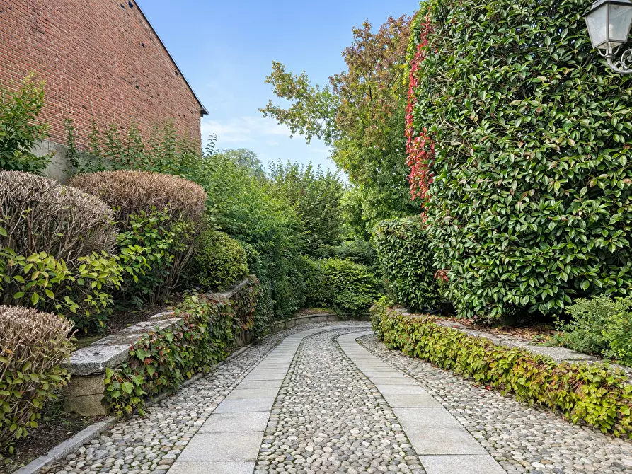 Immagine 16 di Trilocale in affitto  in Via Dante Alighieri 1 a Cureggio