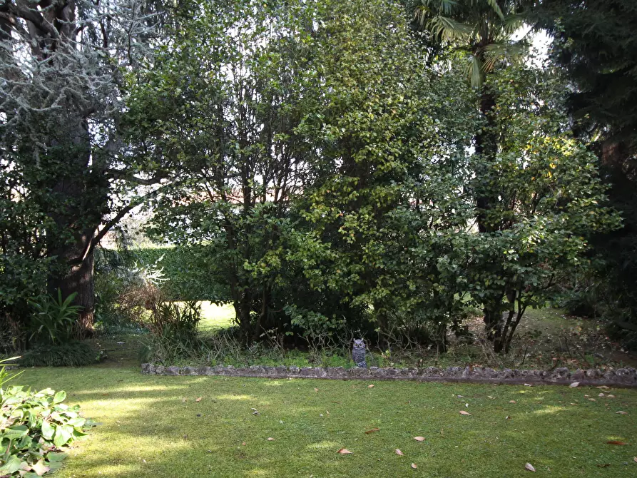 Immagine 16 di Trilocale in affitto  in Via XX Settembre 1 a Arona