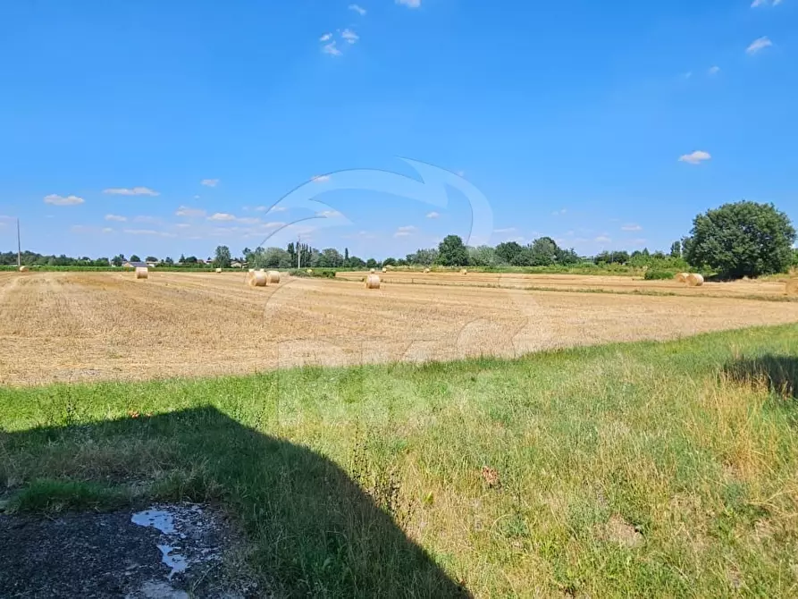 Immagine 32 di Rustico / casale in vendita  a Valsamoggia