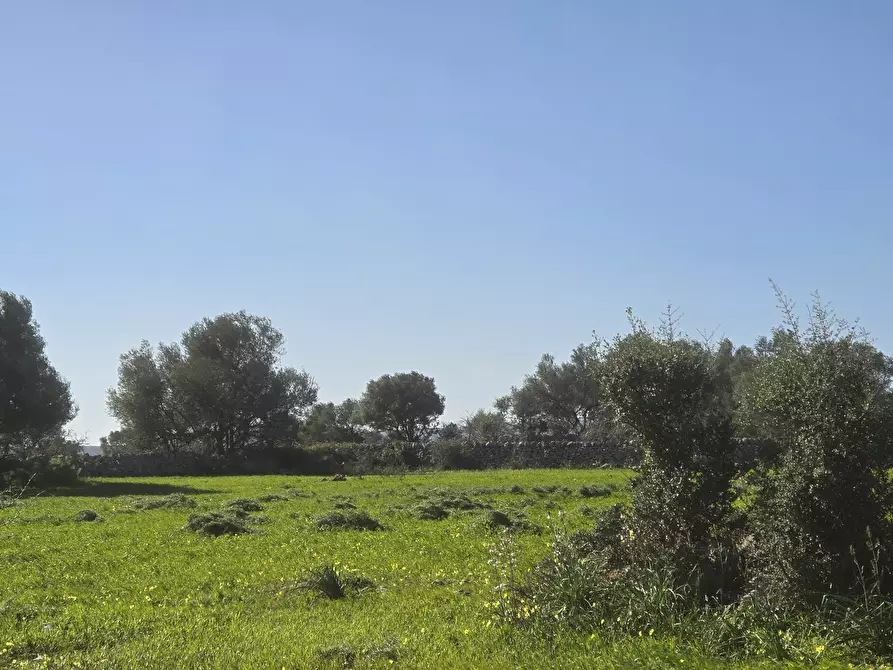 Immagine 16 di Terreno agricolo in vendita  in C.DA CUGNI SNC a Siracusa