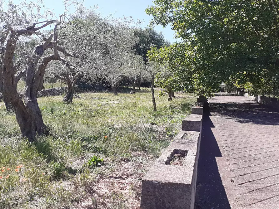 Immagine 22 di Rustico / casale in vendita  in Strada Provinciale 24 21 a Noto