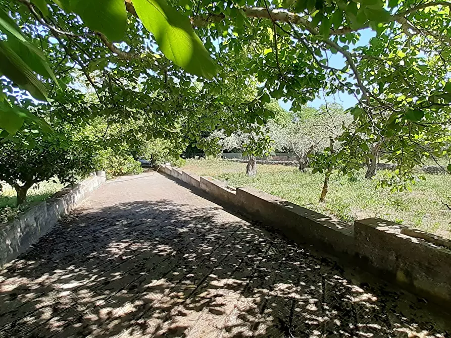 Immagine 27 di Rustico / casale in vendita  in Strada Provinciale 24 21 a Noto