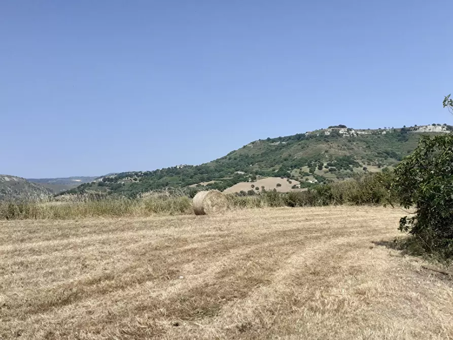 Immagine 52 di Terreno agricolo in vendita  in c.da Poi a Palazzolo Acreide