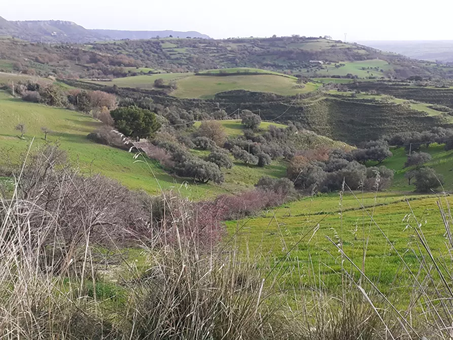 Immagine 64 di Terreno agricolo in vendita  in c.da Poi a Palazzolo Acreide