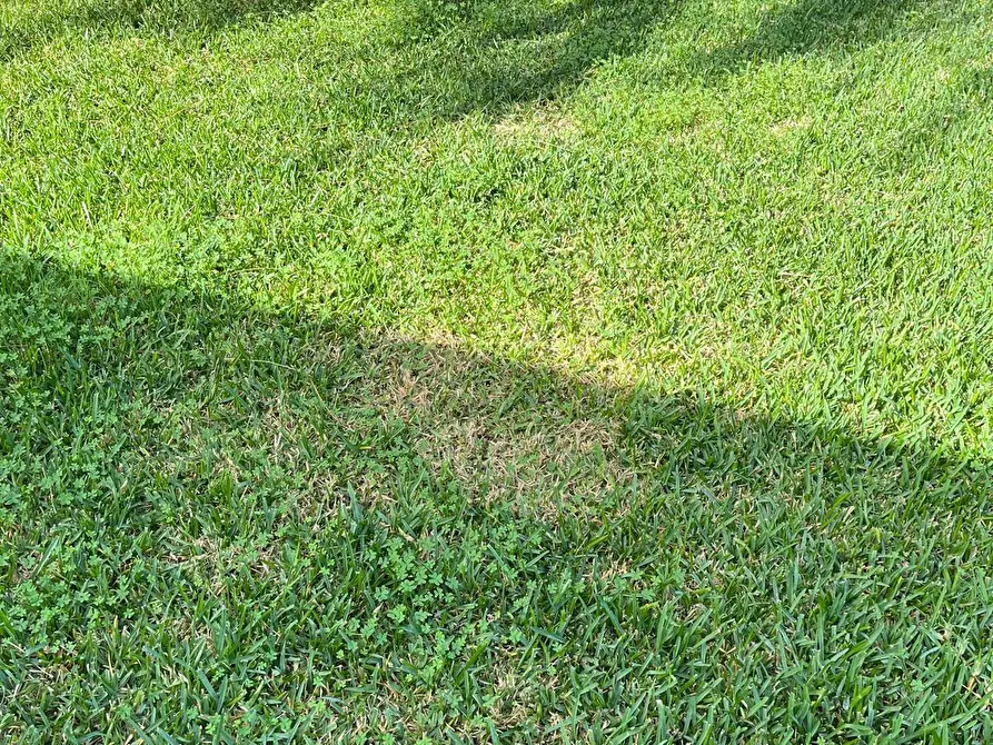 Immagine 22 di Villa in vendita  in Via Lago di Como a Siracusa