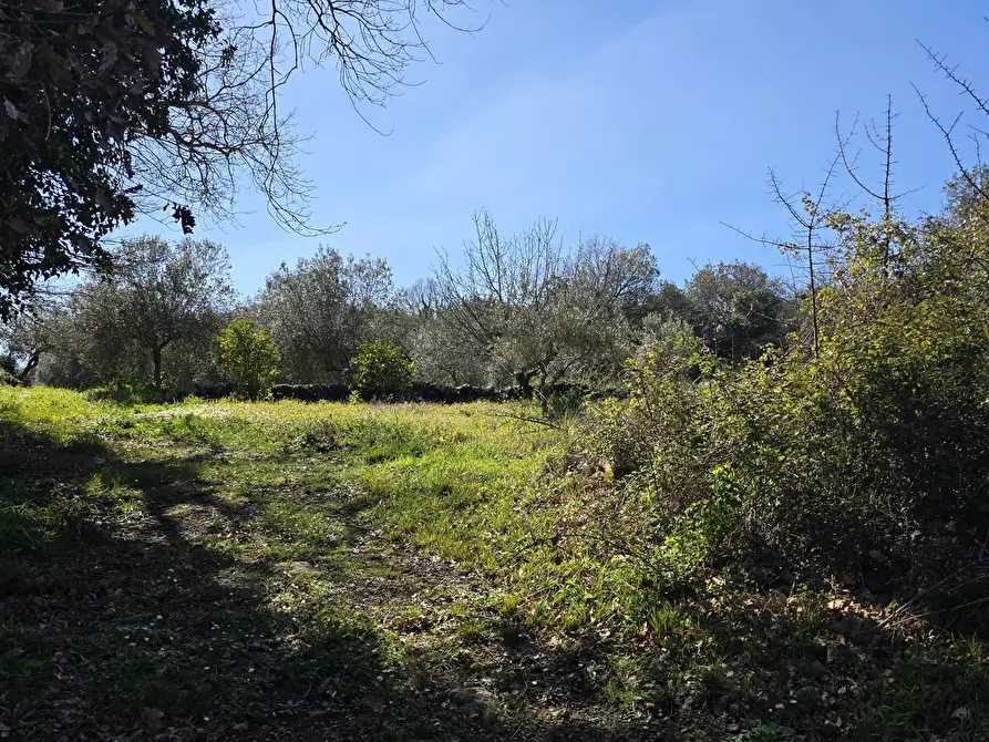 Immagine 26 di Terreno agricolo in vendita  in contrada Santa Lucia di Mendola a Noto