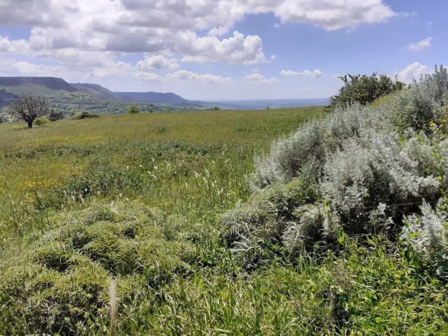 Immagine 14 di Terreno agricolo in vendita  in c.da Poi a Palazzolo Acreide