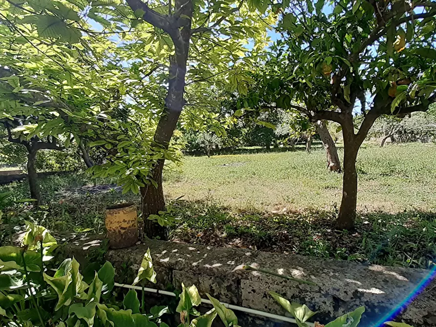 Immagine 18 di Rustico / casale in vendita  in Strada Provinciale 24 21 a Noto