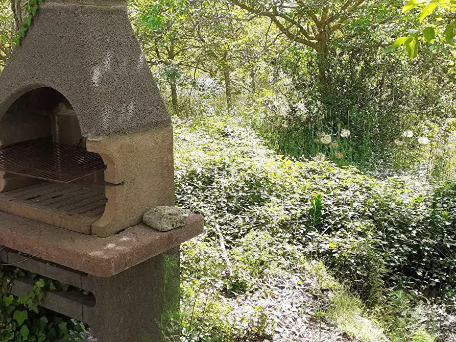Immagine 7 di Terreno agricolo in vendita  in Strada Statale 287 a Noto