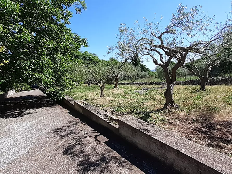 Immagine 43 di Rustico / casale in vendita  in Strada Provinciale 24 21 a Noto