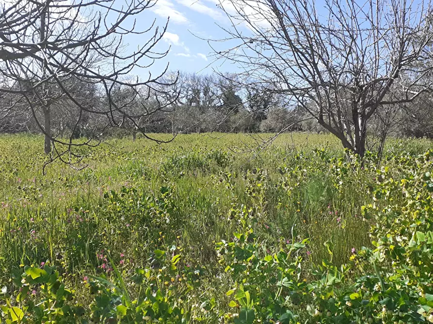 Immagine 49 di Villetta a schiera in vendita  in Via Acre 19 a Palazzolo Acreide