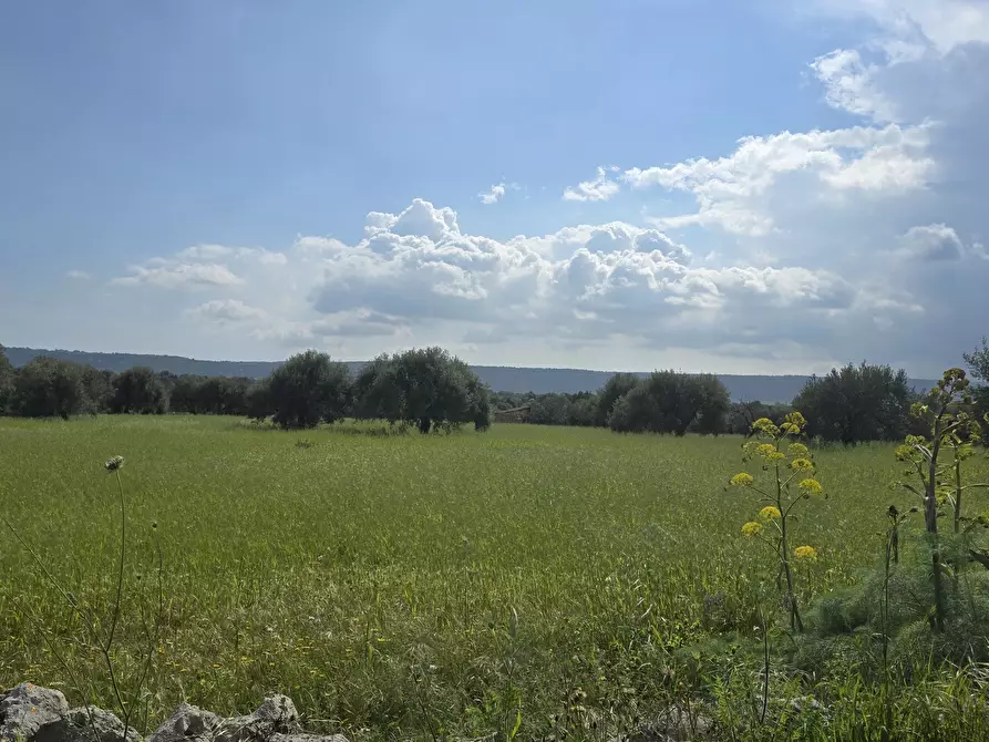 Immagine 22 di Villa in vendita  in Cavasecca a Canicattini Bagni