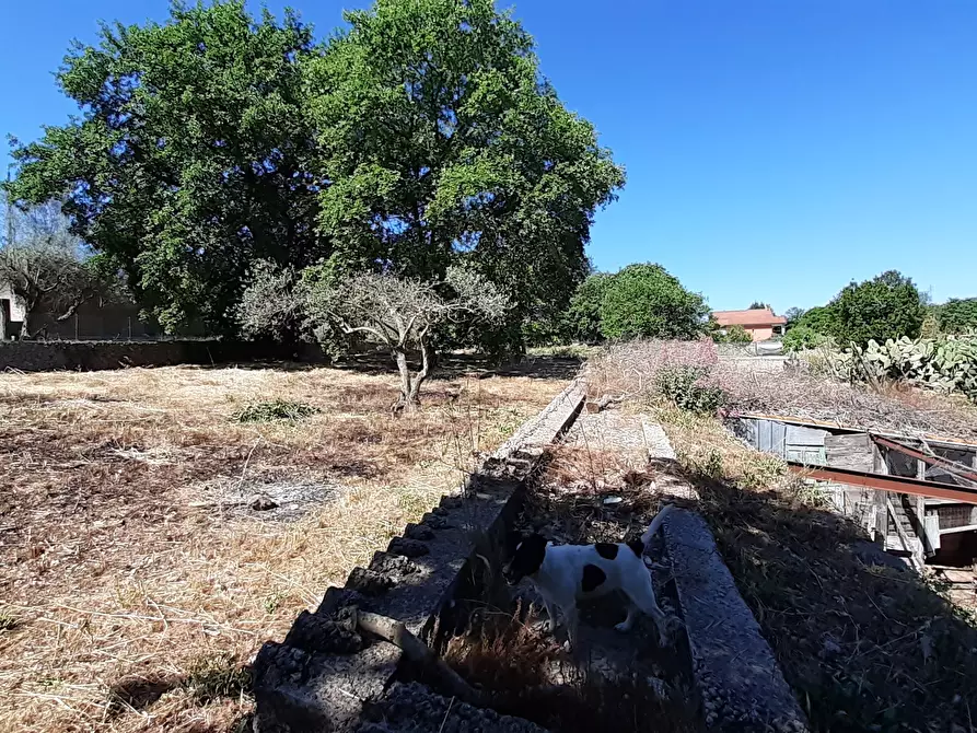 Immagine 33 di Rustico / casale in vendita  in Strada Provinciale 24 21 a Noto