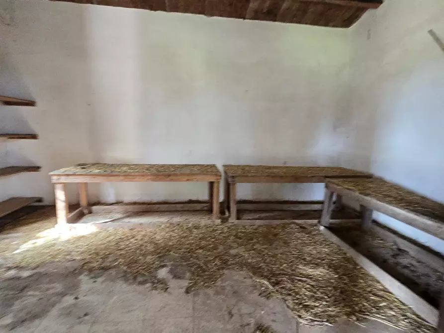 Immagine 21 di Villa in vendita  in Cavasecca a Canicattini Bagni