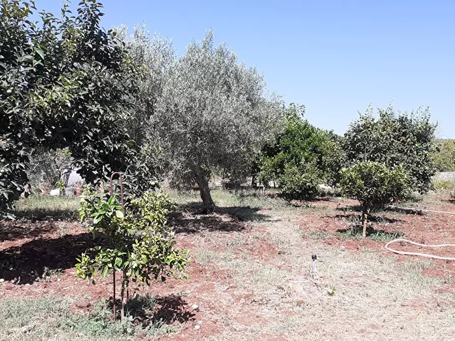 Immagine 1 di Terreno agricolo in vendita  in SP14 a Canicattini Bagni
