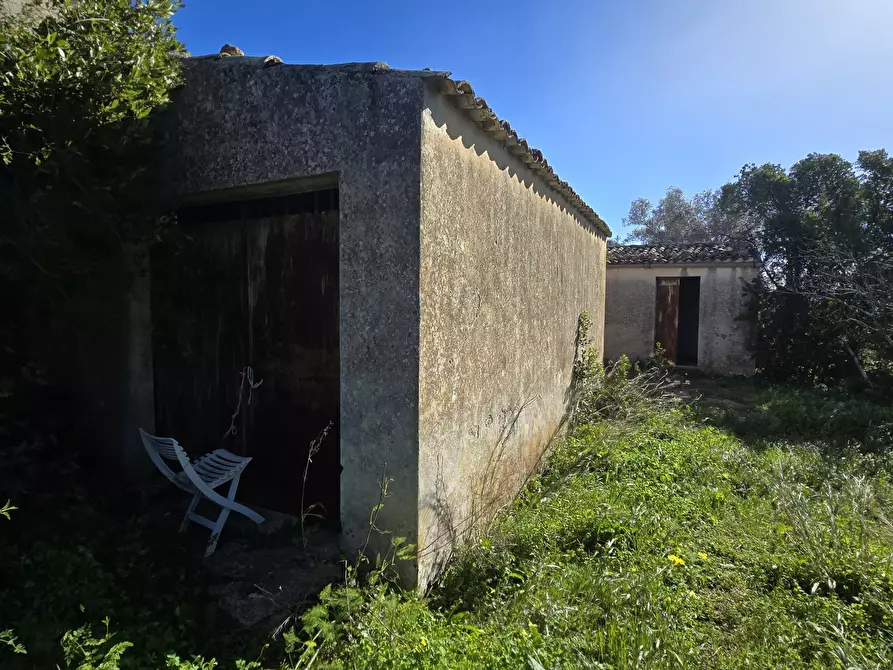 Immagine 23 di Terreno agricolo in vendita  in C.DA CUGNI SNC a Siracusa