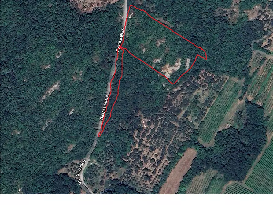 Immagine 22 di Terreno agricolo in vendita  in Via Castellaro a Castegnero