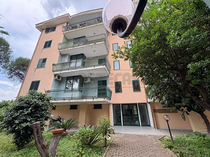 Immagine 1 di Pentalocale in vendita  in Via de Sanctis a Marcianise