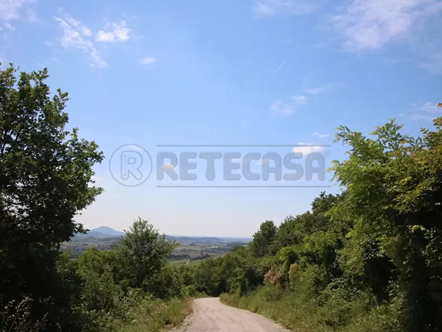 Immagine 20 di Terreno agricolo in vendita  in Via Castellaro a Castegnero