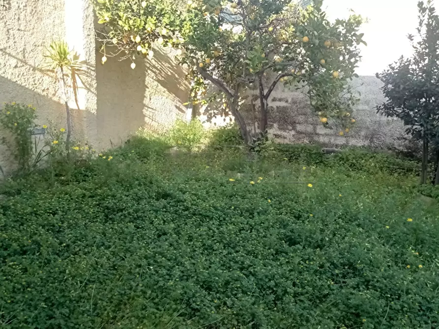 Immagine 18 di Villetta a schiera in vendita  a Castelvetrano