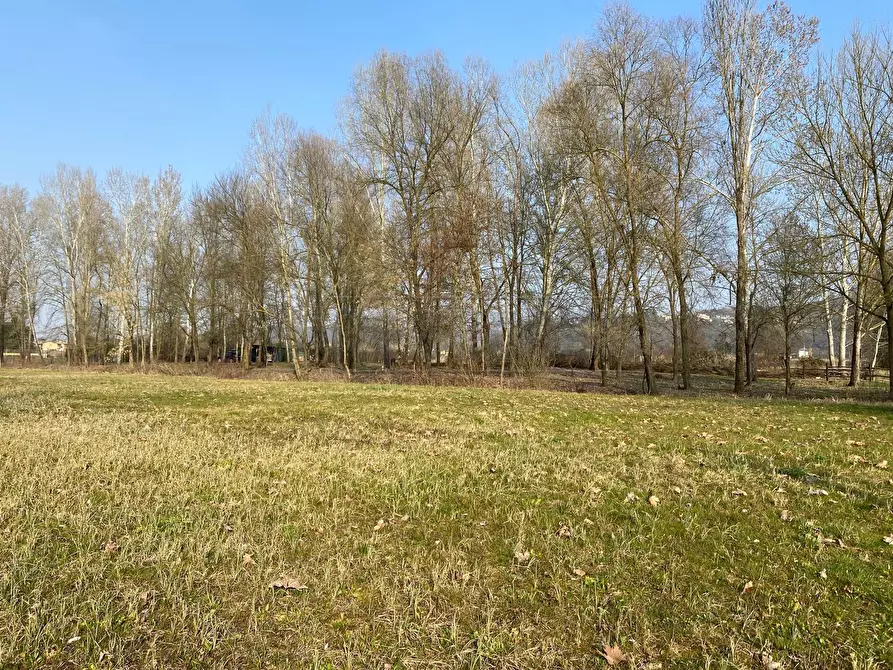 Immagine 7 di Terreno agricolo in vendita  a Arcugnano