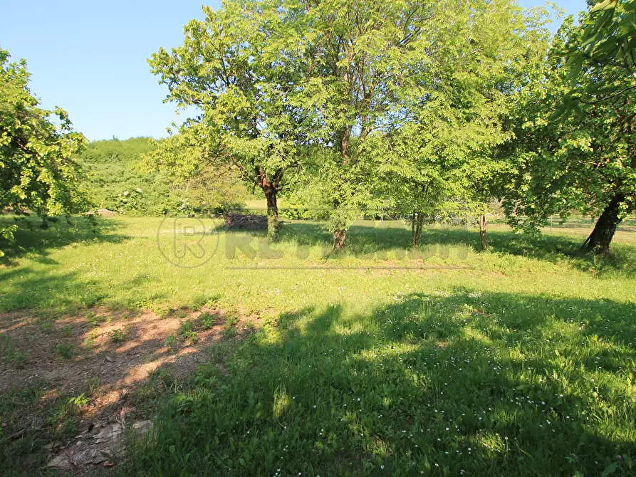 Immagine 39 di Casa semindipendente in vendita  in Via Monte Rosso 21 a Brendola