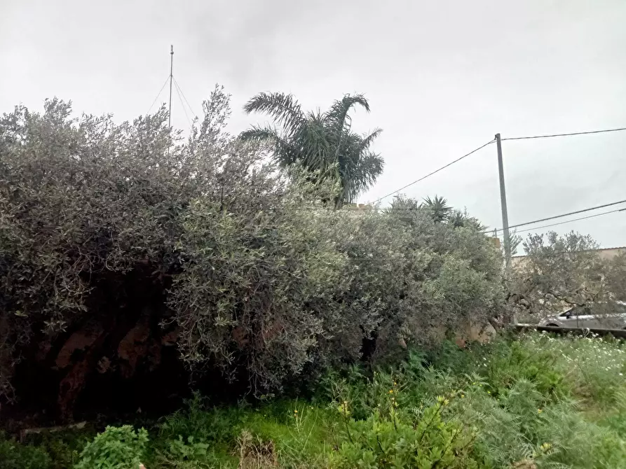 Immagine 15 di Casa indipendente in vendita  a Marsala