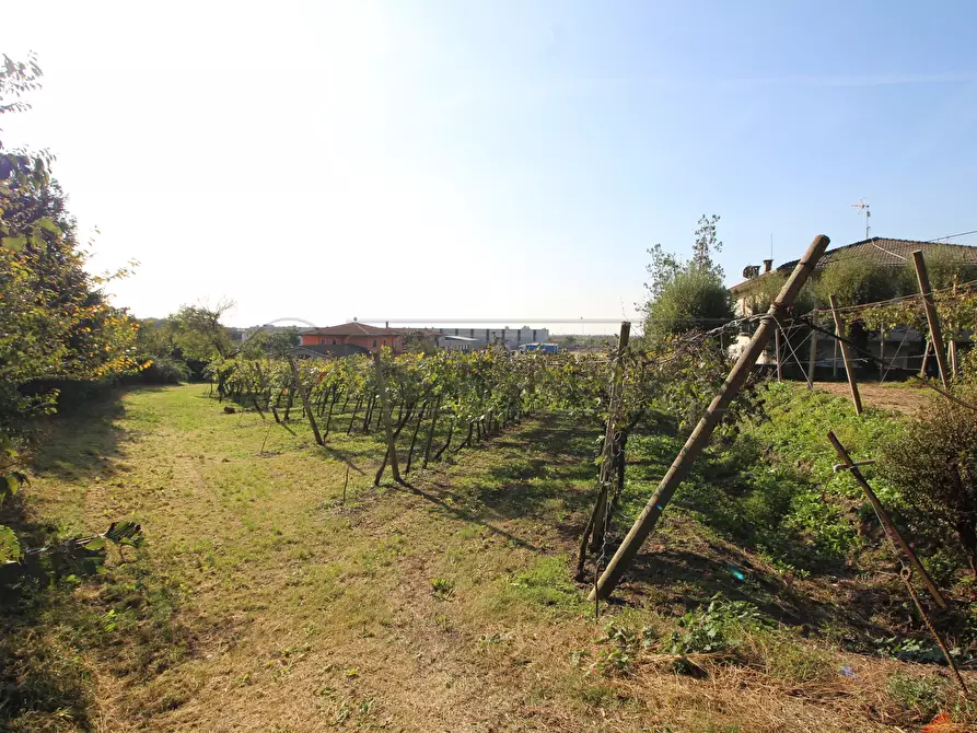 Immagine 5 di Terreno edificabile in vendita  in Via Calderina 8 a Gambellara