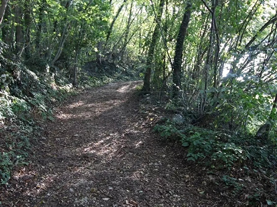 Immagine 20 di Terreno agricolo in vendita  a Arcugnano