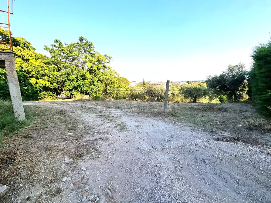 Immagine 5 di Casa indipendente in vendita  a Pescara