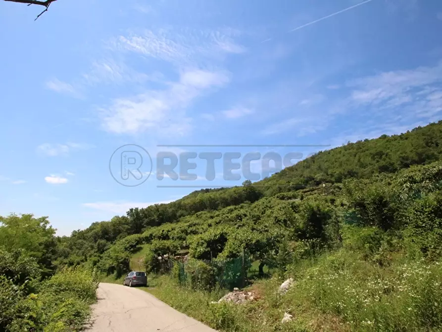 Immagine 16 di Terreno agricolo in vendita  in Via Castellaro a Castegnero