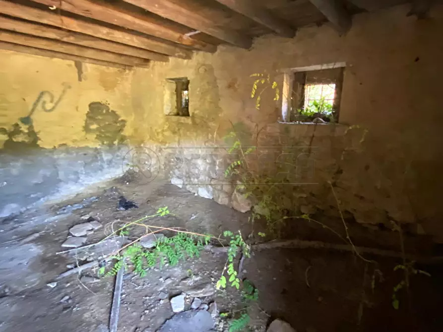 Immagine 5 di Rustico / casale in vendita  a Sarego
