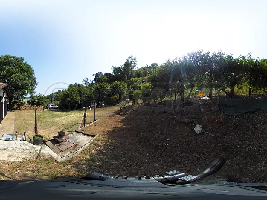 Immagine 48 di Terreno agricolo in vendita  in Via Bazziola a Monteviale