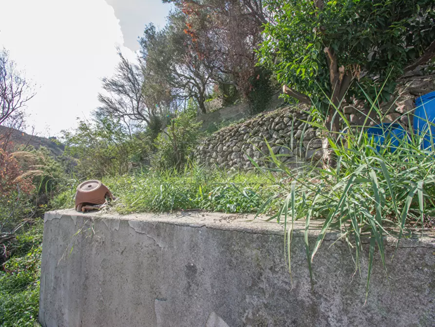 Immagine 23 di Casa indipendente in vendita  in Strada Statale 113 diramazione a Messina