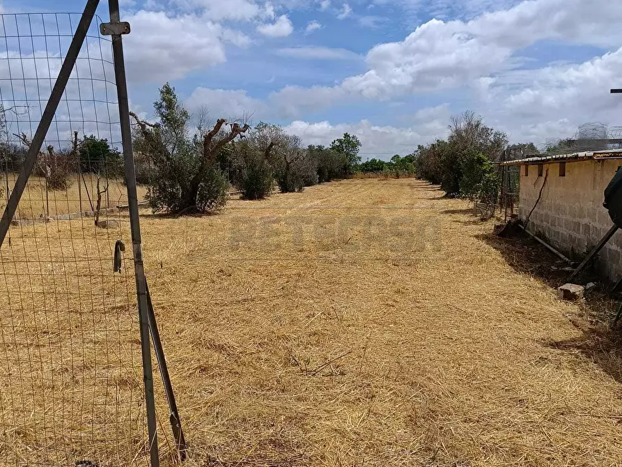 Immagine 8 di Terreno agricolo in vendita  a Corigliano D'otranto