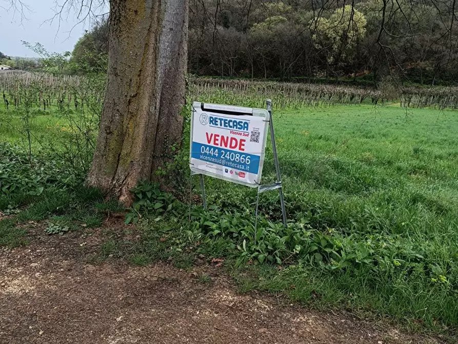 Immagine 4 di Terreno agricolo in vendita  a Castegnero