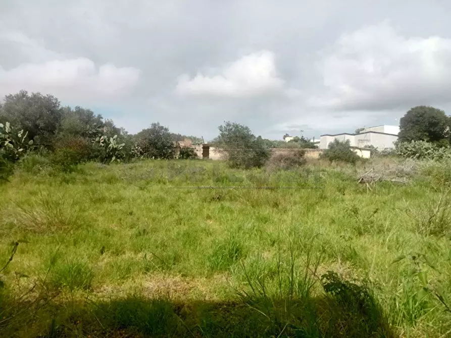 Immagine 5 di Villa in vendita  a Mazara Del Vallo