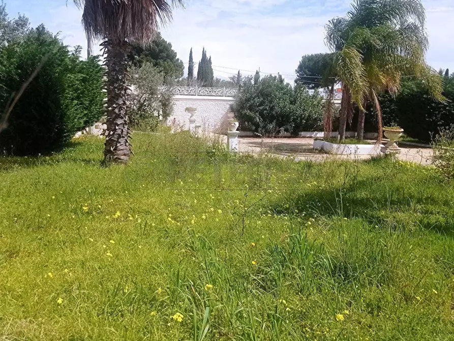 Immagine 8 di Villa in vendita  a Castelvetrano