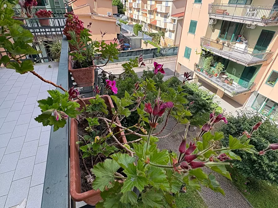 Immagine 17 di Pentalocale in vendita  in Via de Sanctis a Marcianise