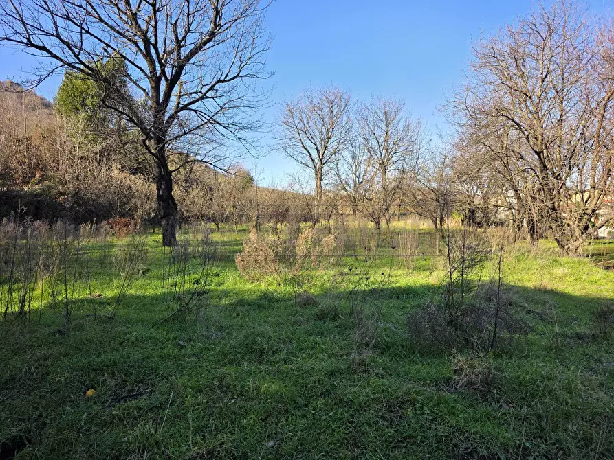 Immagine 15 di Terreno industriale in vendita  a Mercato San Severino